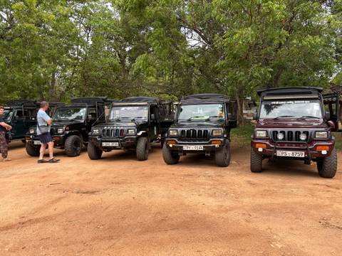       Group of safari jeeps parked in a row with visitors nearby.
  