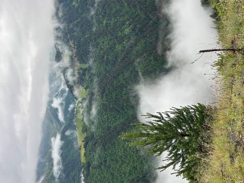       Misty view of lush green mountain landscape.
  