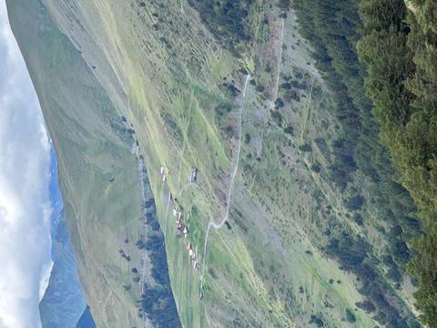       Mountain huts and winding road in a green valley.
  
