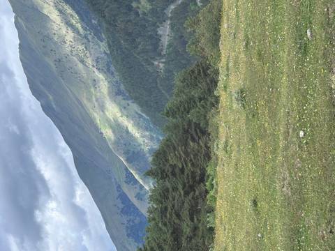       Grassy field with distant mountains under a cloudy sky.
  