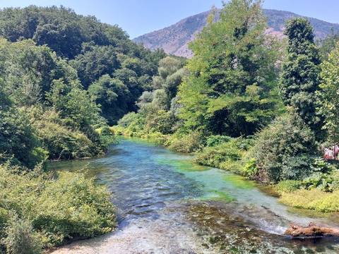       Vibrant and clear river surrounded by dense greenery.
  