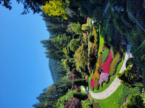 Lush garden with colorful flowers and trees.