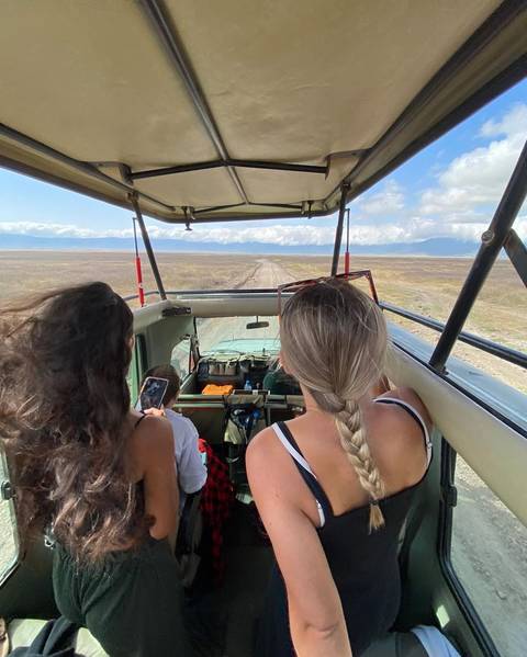 Elephants seen during a safari on a dirt road.