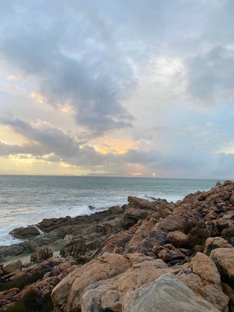       Five safari vehicles parked in a line.
  