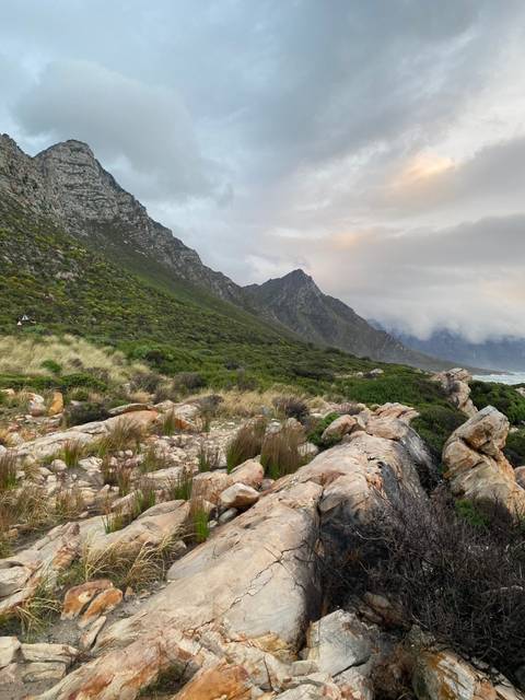       Person sitting on a rock by the ocean, smiling.
  