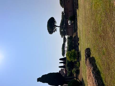 Ruins and trees under a clear blue sky, likely in a Roman archaeological site.