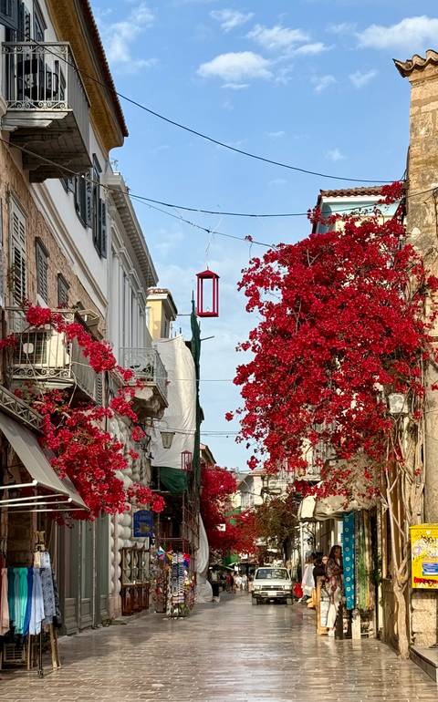      Street lined with quaint buildings and vibrant red flowers.
  