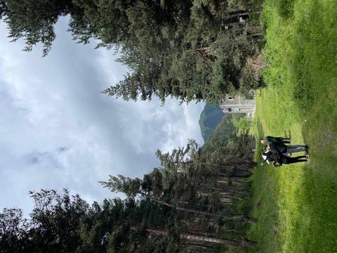 Group of hikers at a forest edge with mountains.