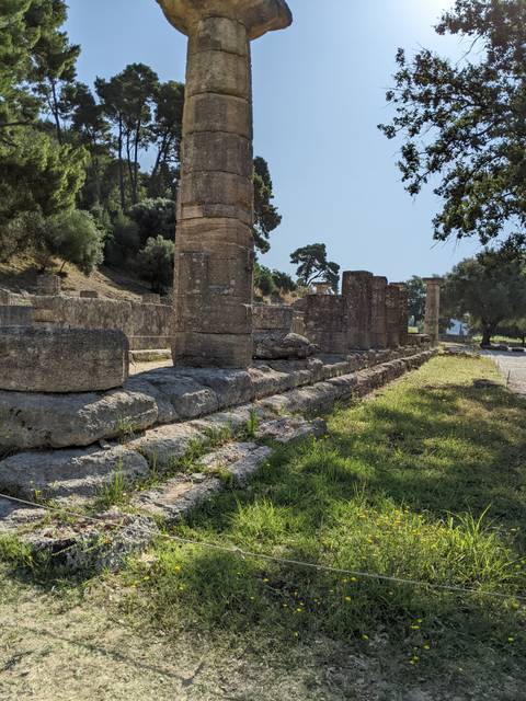 Roman pillars on an ancient site surrounded by trees.