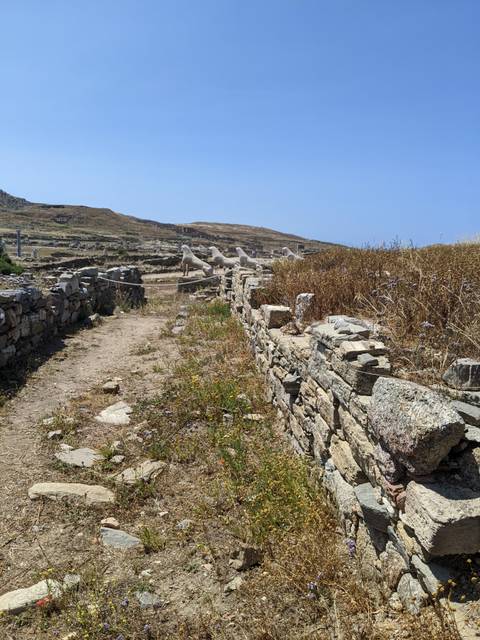 Ancient Greek ruins with stone pathways and dried grass.