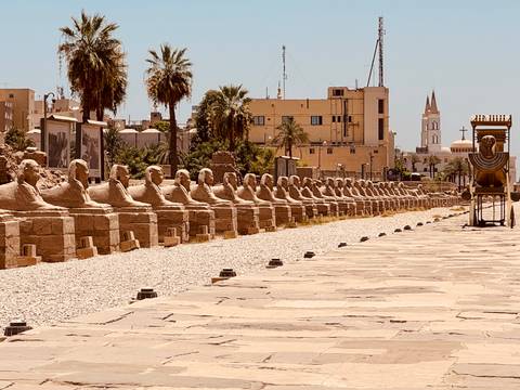       Row of sphinx statues on a path in Egypt.
  