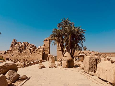       Ruins of ancient structures with palm trees.
  