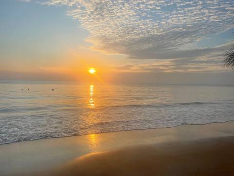       Sunset view over the ocean with waves and a soft glow.
  