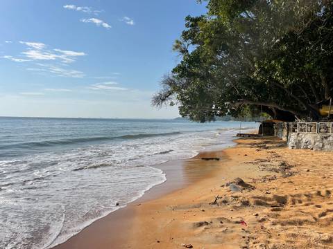 Quiet beach with wood sands and trees lining the shore.