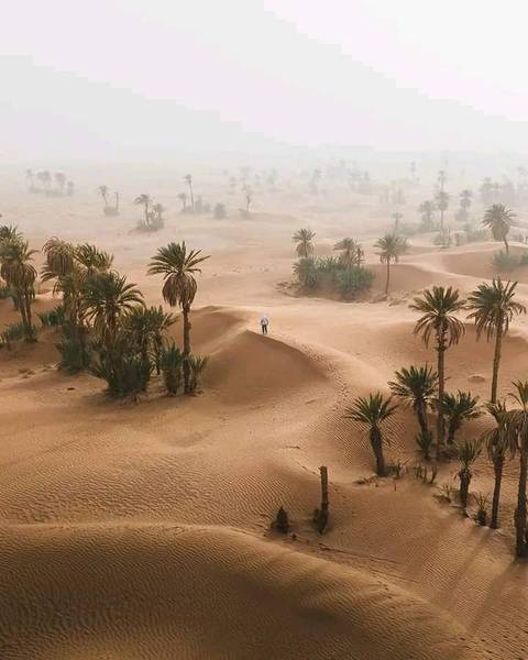 Klantbeoordelingsfoto van Woestijntocht van Ouarzazate naar Erg Chegaga 1 nacht 