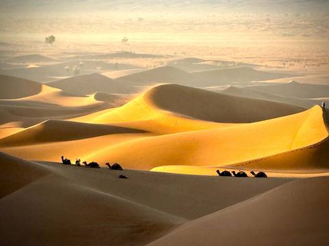 Dunes with camels walking in the desert.