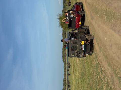       Tourists on a jeep safari watching elephants.
  