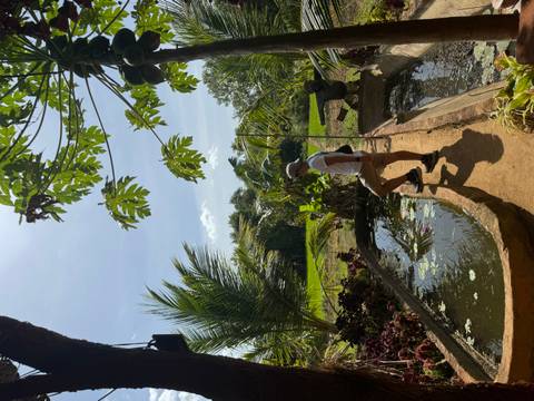       Person stands near a pond surrounded by lush greenery.
  