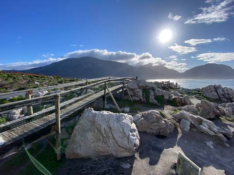       Rocky coastline with mountains in the background.
  