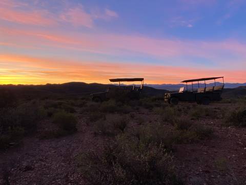       Safari vehicles during sunset on a savannah.
  