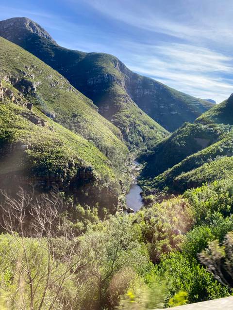       Dense forest valley with a stream.
  