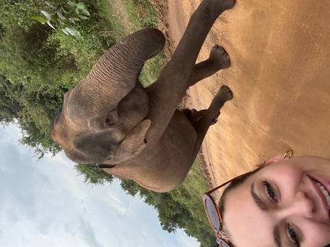 Person taking a selfie with an elephant on a dirt road.