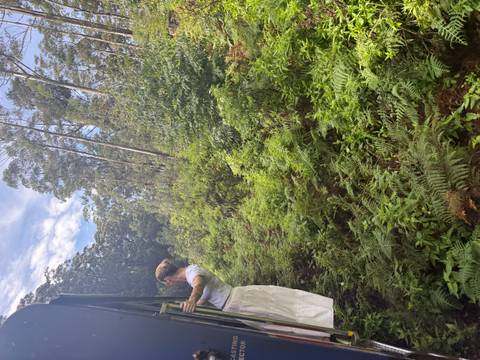       Person hanging out of a train in a lush, green landscape.
  
