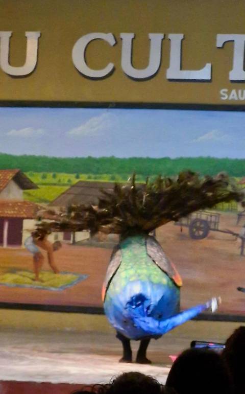 Blurry close-up of a peacock with a rural background.