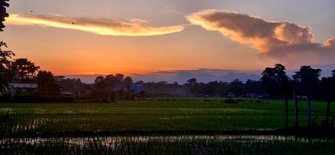       Scenic view of rice fields with a sunset and mountains in the background.
  