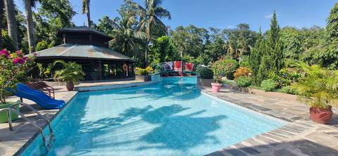       Swimming pool surrounded by tropical plants.
  