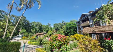       Lush garden with buildings in the background.
  