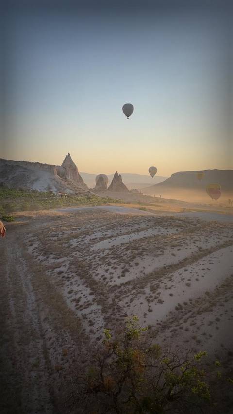 Magic Carpet Tour customer review photo 