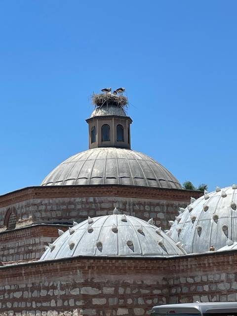 Domed architecture with a bird's nest on top.