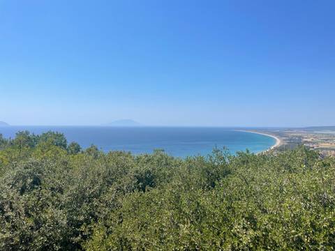 Scenic view of the sea and coastline with greenery.