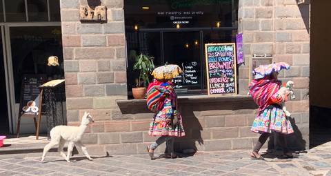       Women in colorful traditional attire walking with an alpaca.
  