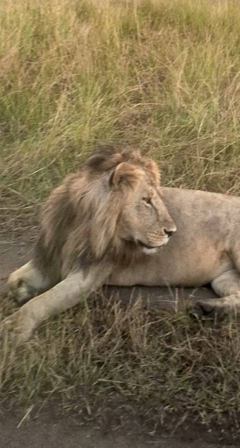       9 Days Best of  Kenya and Tanzania Safari Experience customer review photo 
  