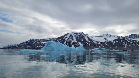 Mountainous landscape with glaciers and water.