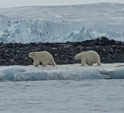 Entdeckungsreise In-Depth im Land des Eisbären Foto von Kundenbewertung 