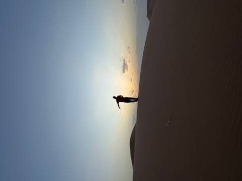       Silhouette of a person on a sand dune at sunset
  