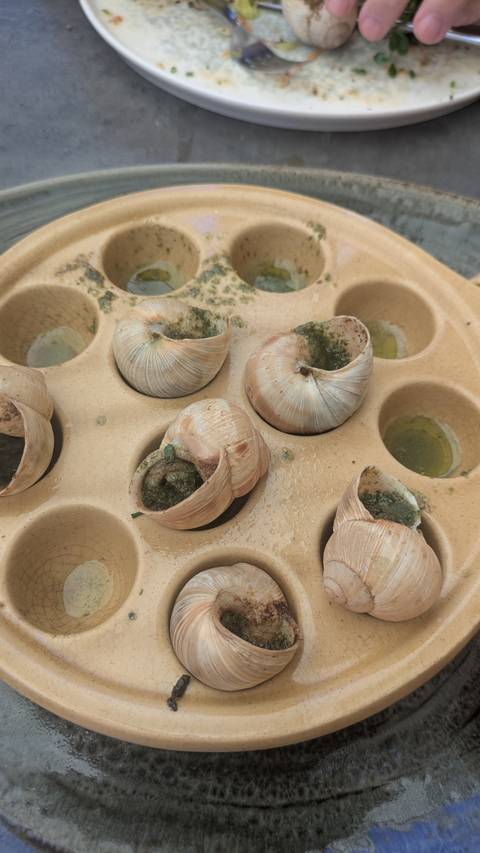       Plate of escargot with garlic butter
  