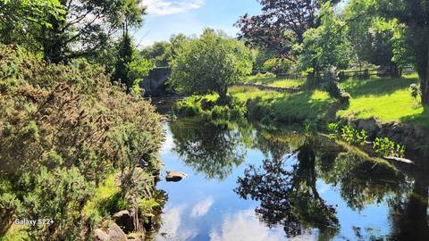       Lush greenery with a calm river reflecting the sky.
  