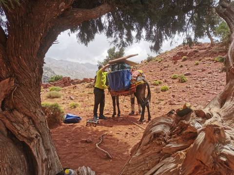 People packing a mule in a mountainous landscape.