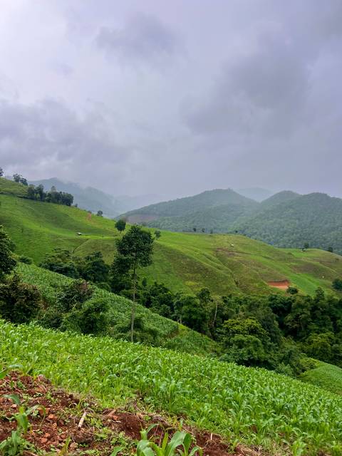 Rolling green hills under a cloudy sky.