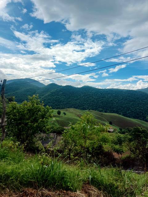 Hills with trees under a partly cloudy sky with power lines.