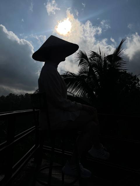       Silhouetted person against a cloudy sky and palm trees.
  