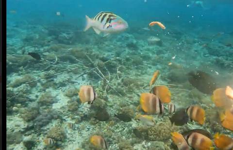 Klantbeoordelingsfoto van Bali & de Gili-eilanden - een epische ervaring - 7 dagen 