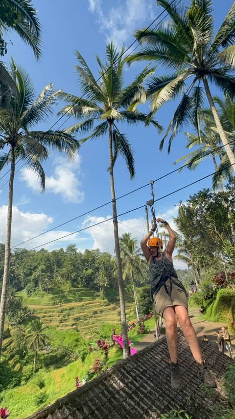       Person ziplining among tall palm trees.
  
