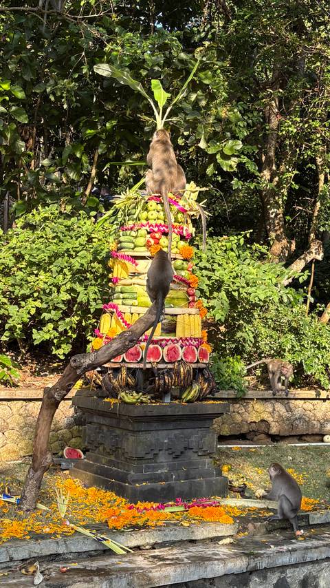 Monkey climbing a decorative fruit structure.
