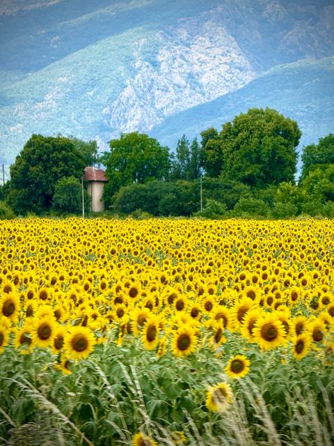 Couple posing in front of a famous historic square with architecture.