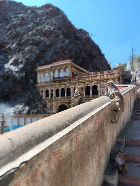 Monkeys playing on a ledge near an ornately decorated temple.